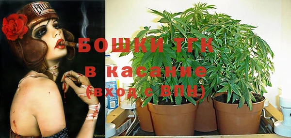 трава Абаза